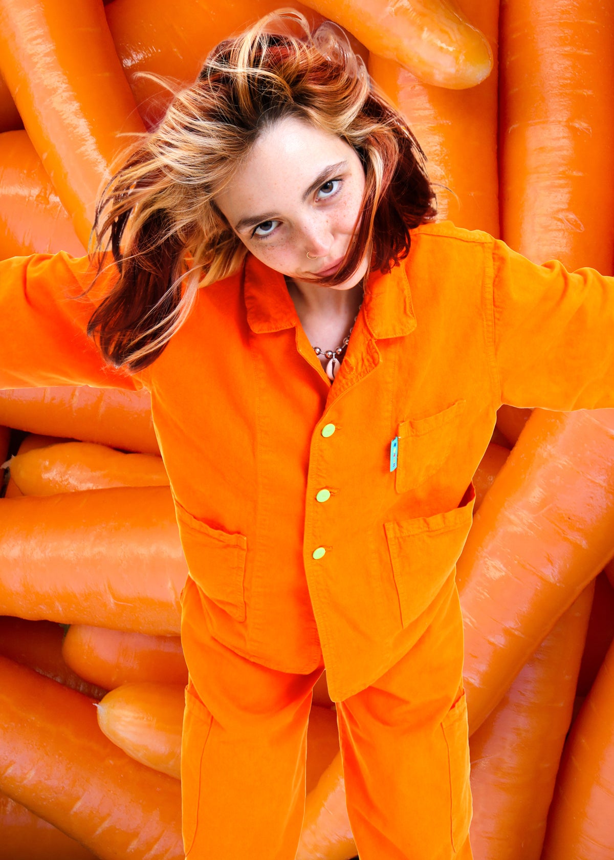 CARROT – meals